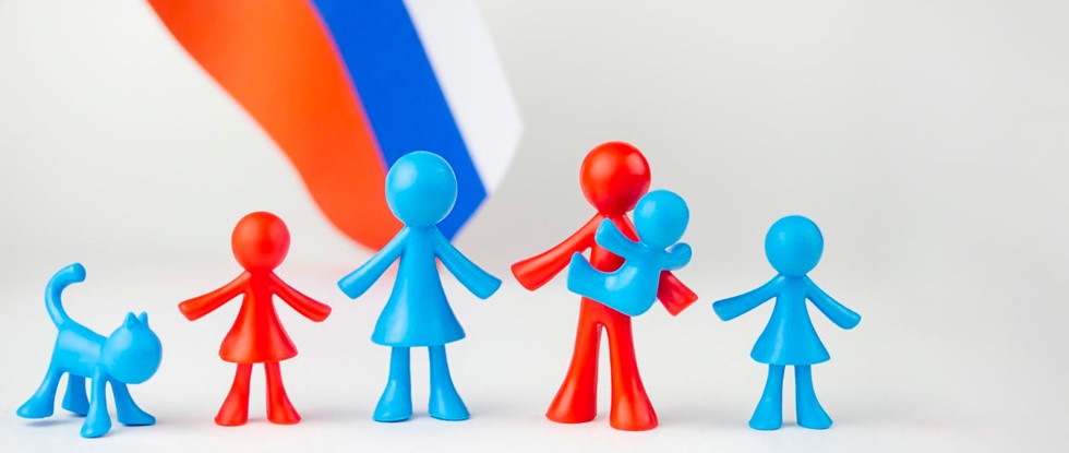 СФР в России с 1 января 2026 года: что это и как работает